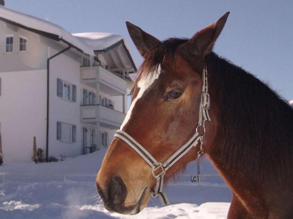 Gottesacker Comfortable Holiday Residence Riezlern Eksteriør billede